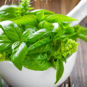 Albahaca