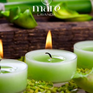 Bambú Verde