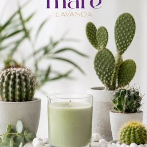 Fragancia Cactus para elaborar velas aromáticas, jabones artesanales, difusores y room sprays | Mare Lavanda