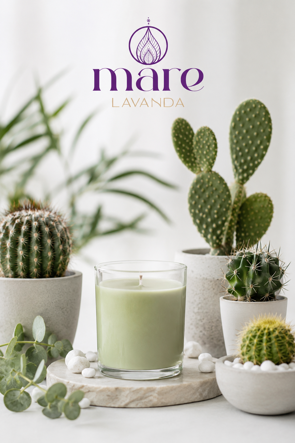 Fragancia Cactus para elaborar velas aromáticas, jabones artesanales, difusores y room sprays | Mare Lavanda