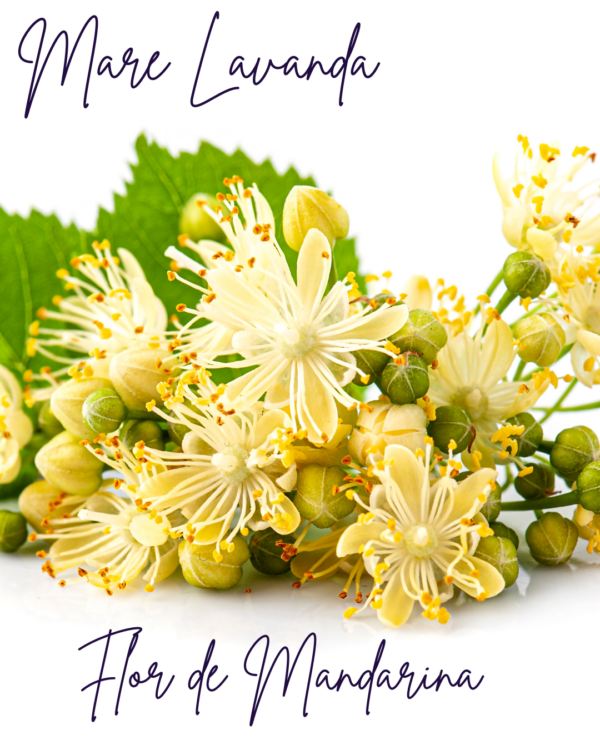 Flor de Mandarina