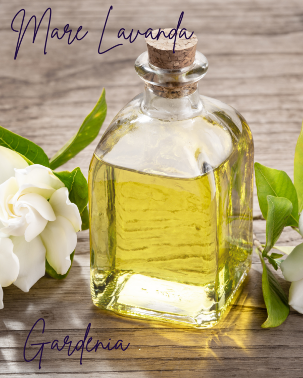 Gardenia