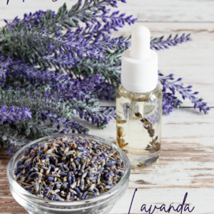 Lavanda