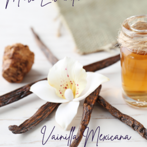 Vainilla Mexicana