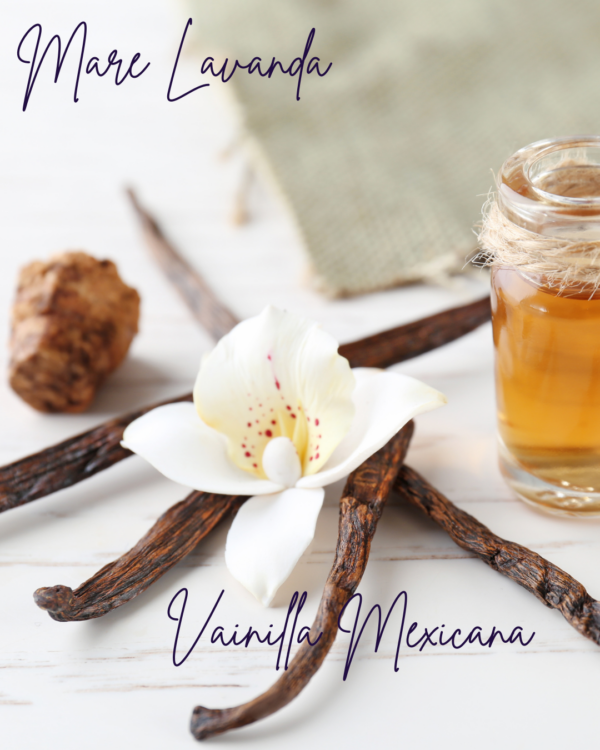Vainilla Mexicana