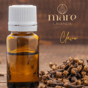 Clavo