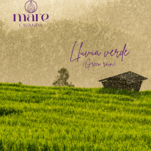 Lluvia Verde